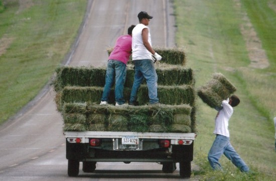 Boys from Home on the Range Stacking Hay at the Ranch
