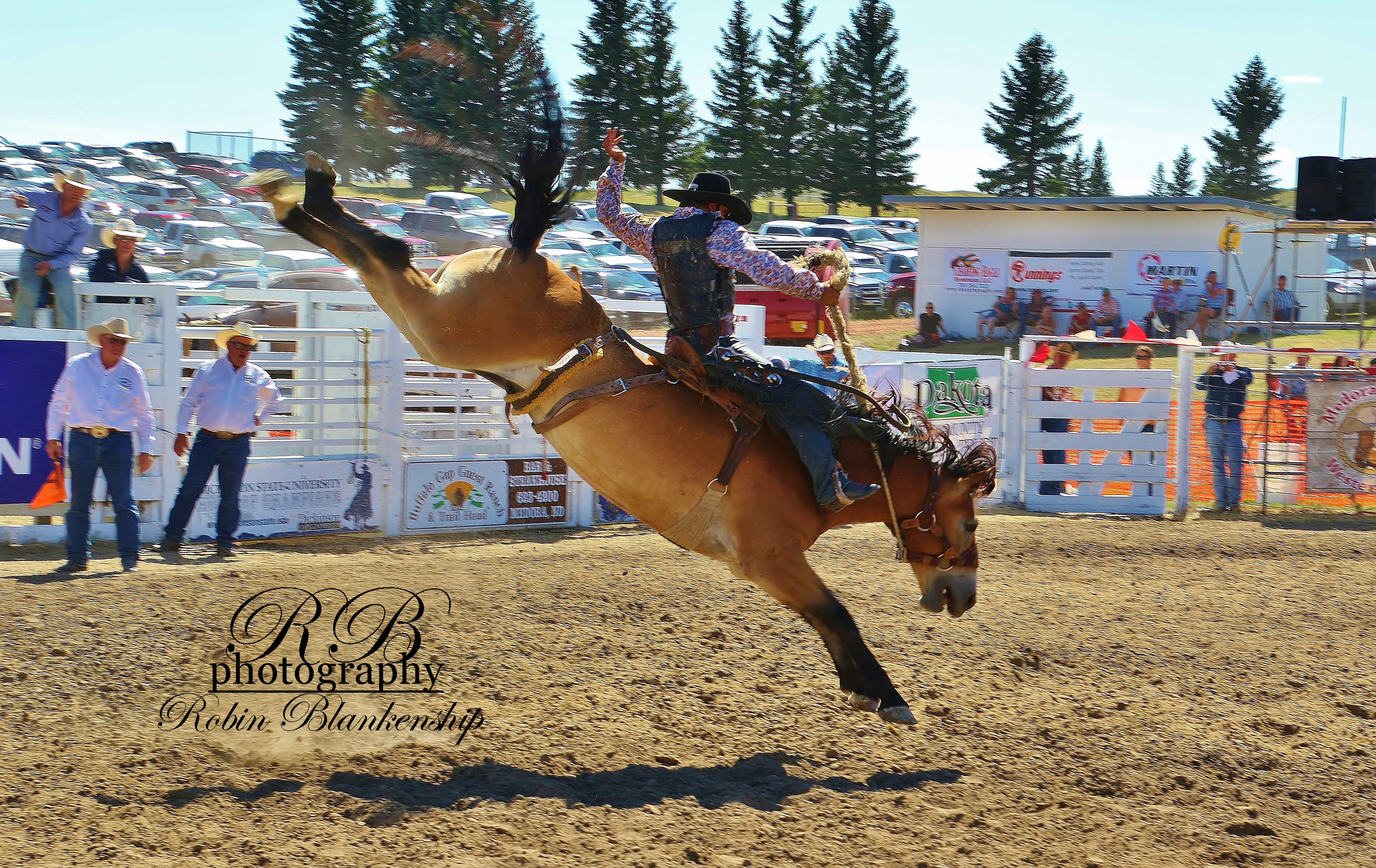 Champions Ride Rodeo