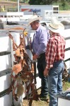 cowboys checking their halters and gear before they ride