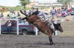 Dusty Hausauer on a bucking horse