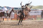 J.J. Elshere on a bay colored bronc