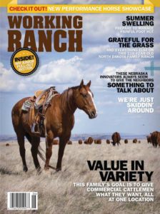 working ranch front page pic